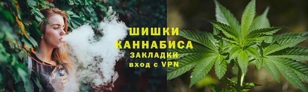 ПСИЛОЦИБИНОВЫЕ ГРИБЫ Бугульма