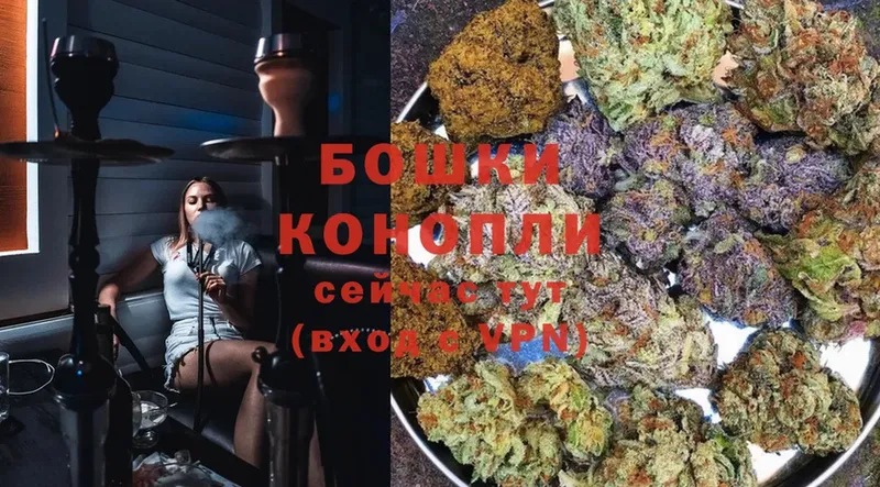 Шишки марихуана OG Kush  МЕГА зеркало  Голицыно 